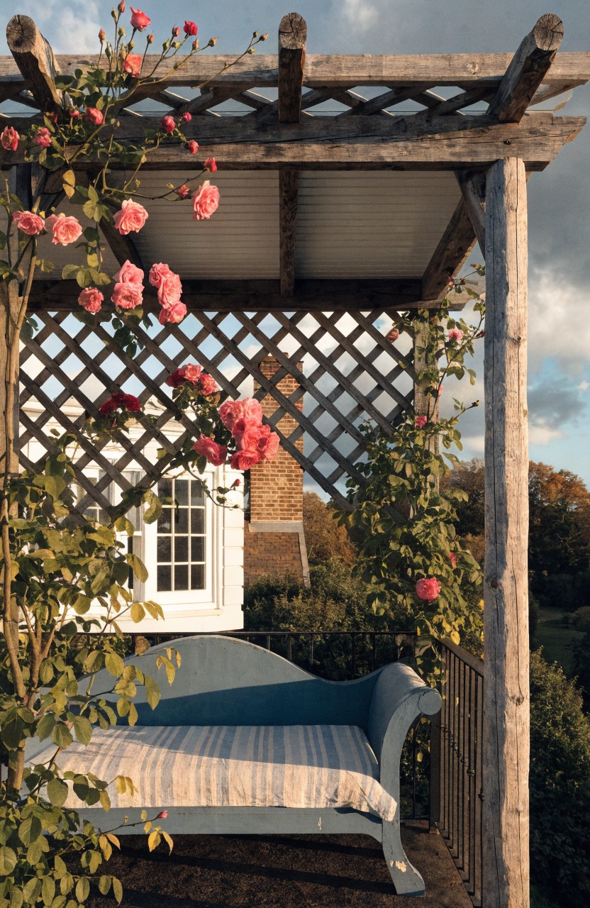 Wooden pergola covered in pink climbing roses with a blue chaise lounge underneath, beside a brick house wall with a white window and green plants nearby.
