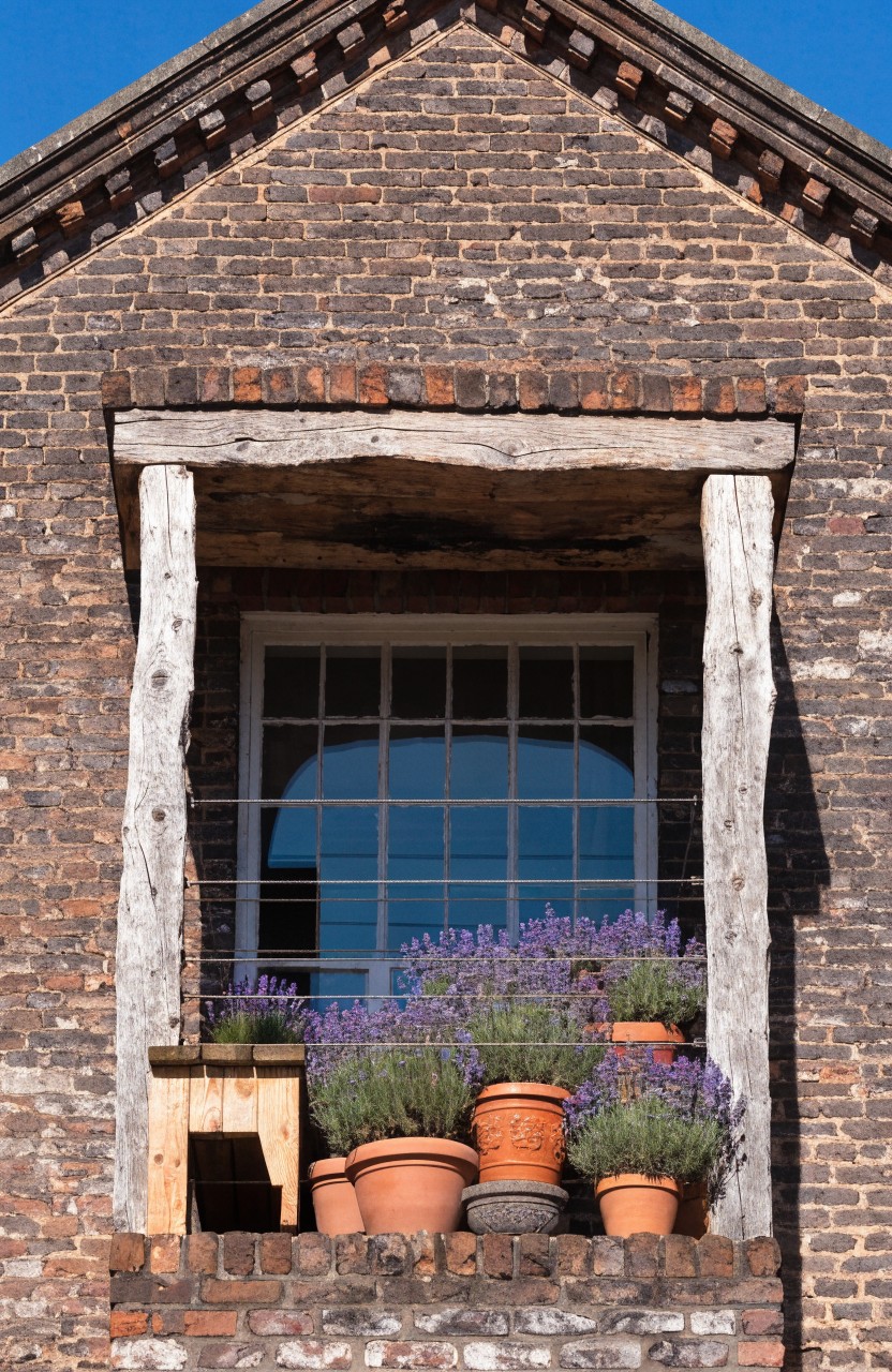 Rustic wooden-framed window in a brick building with terracotta pots of lavender plants clustered on the wide sill.