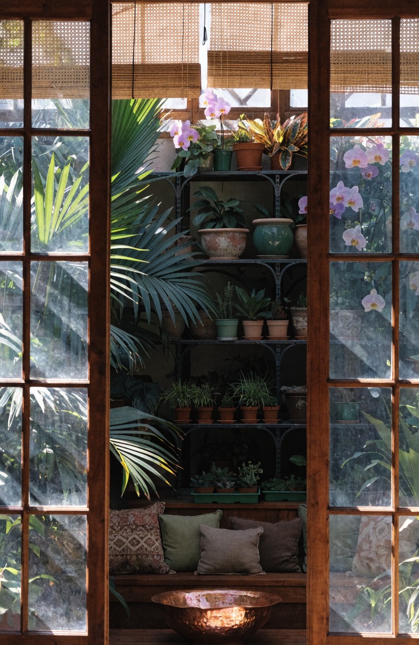 View through wooden-framed glass doors into a balcony with shelves holding potted tropical plants including palms, orchids, and ferns, plus a copper bowl on a cushioned bench with pillows.