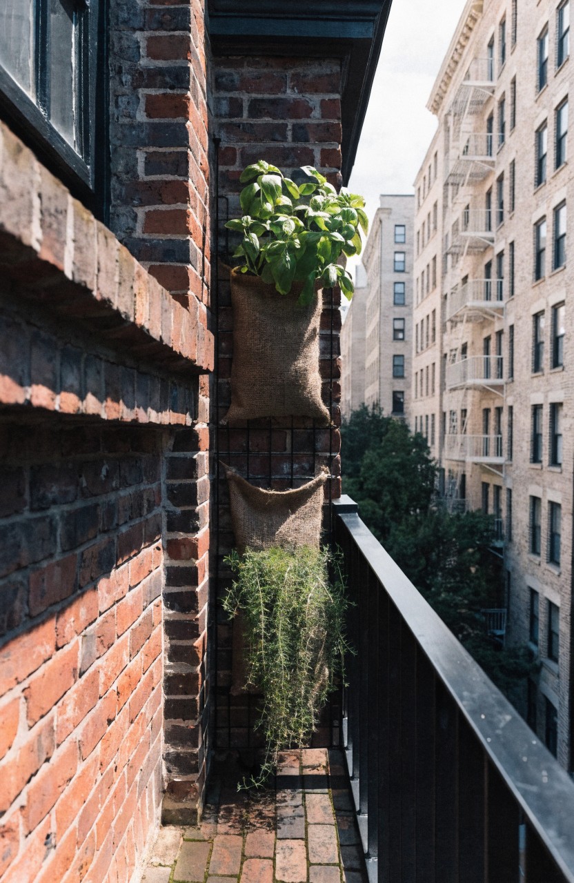 Brick exterior wall with two burlap sacks planted with green herbs hanging beside a narrow black metal balcony railing and brick pathway in a city alley.