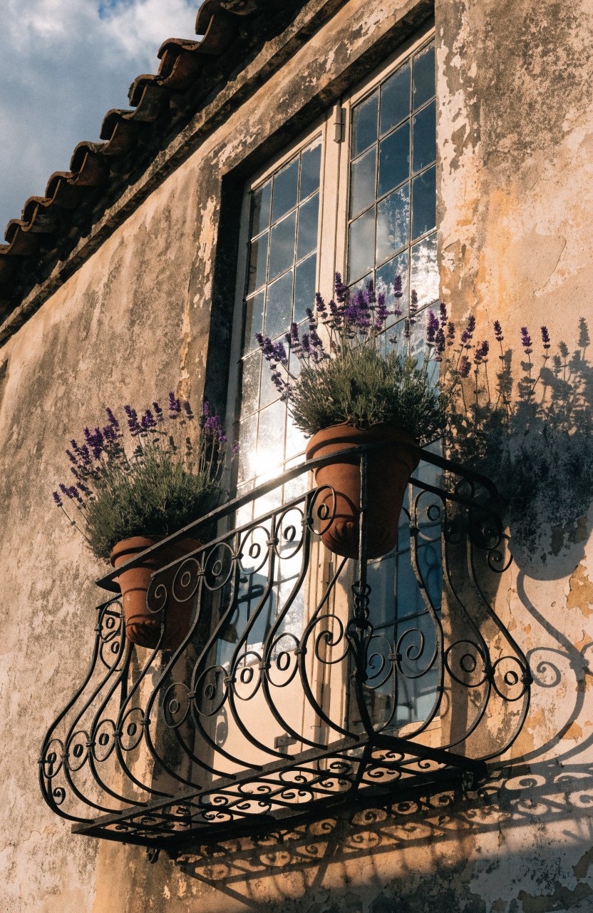 Flower Pots on Balconies