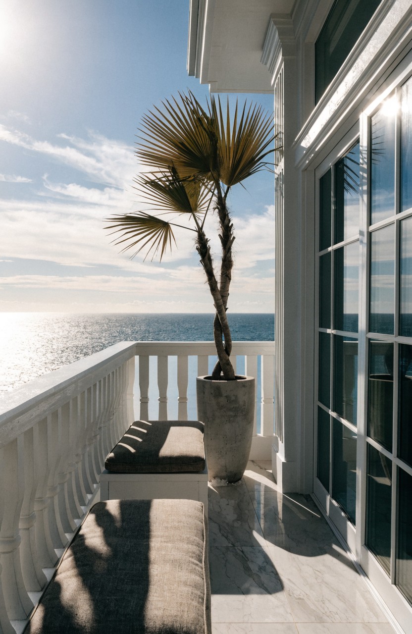 White balcony with tall potted palm tree in gray pot, cushioned bench, glass doors, railing, and ocean view on a sunny day.
