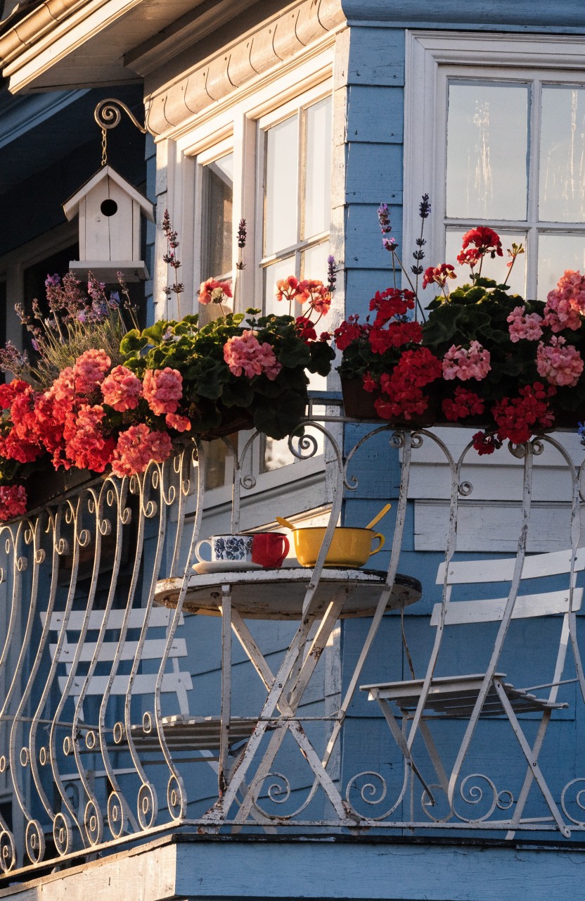 Blue painted house exterior featuring a balcony with wrought iron railing lined in window boxes of red geraniums and purple flowers, plus a birdhouse, small white table with cups, and white chairs.