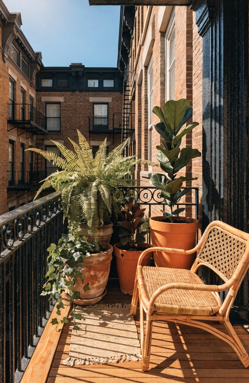 Filling Balconies with Large Potted Plants