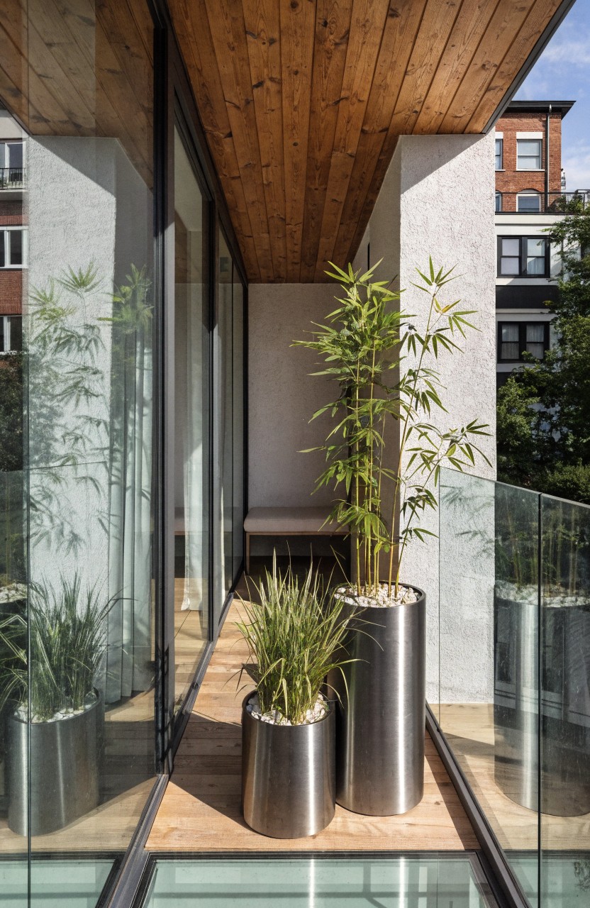 Potted Bamboo for Balcony Privacy