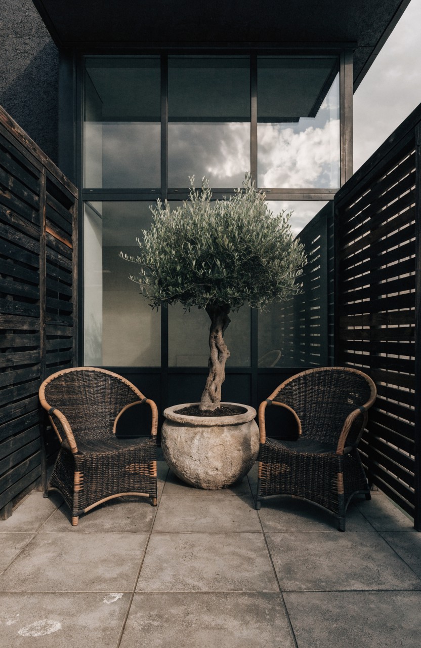 Two rattan armchairs flanking a large potted olive tree on a tiled balcony enclosed by dark wooden fences and large glass windows.