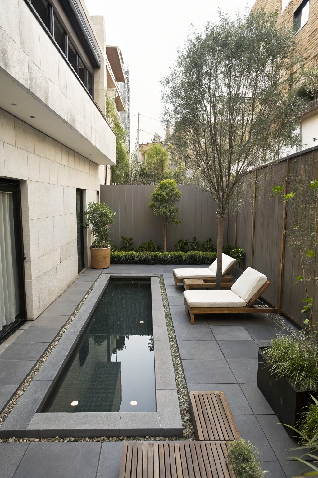 Narrow rectangular lap pool with dark water and underwater lights in a gray stone-paved courtyard, with two white cushioned wooden loungers, potted plants, olive trees, and a beige stucco wall with glass door.